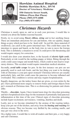 Christmas Hazards - Hawkins Animal Hospital