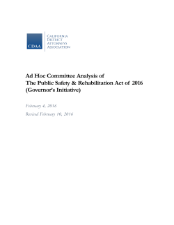 Ad Hoc Committee Analysis of The Public Safety