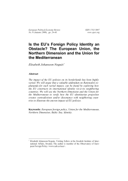 Is the EU`s Foreign Policy Identity an Obstacle?