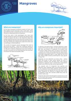 Mangroves - Pacific Community