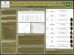 Evaluating body condition index with DEXA and D2O in big brown