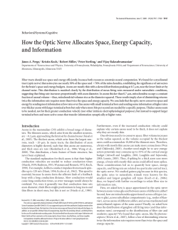How the Optic Nerve Allocates Space, Energy