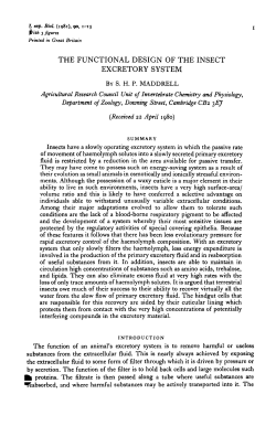 the functional design of the insect excretory system