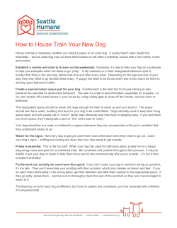 House Train - Seattle Humane