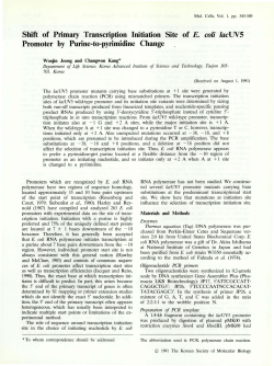 Shift of Primary Transcription Initiation Site of E. coli lacUV5