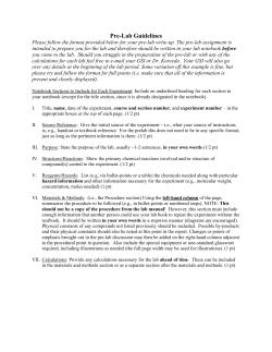 Pre-lab Guidelines-example v2