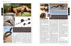 WRSA Vet on call - It`s war out there - tannins and