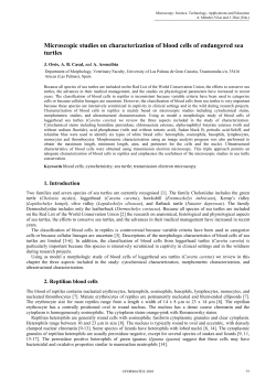 Microscopic studies on characterization of blood cells of