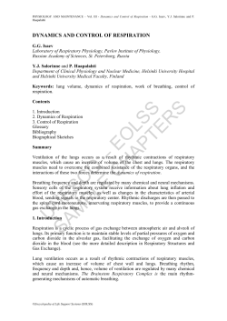 Dynamics and Control of Respiration