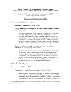 Ad Hoc Committee on an International Convention against