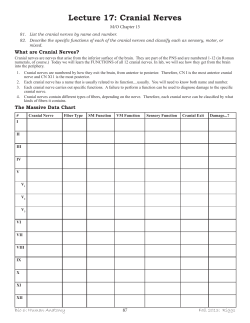 Lecture 17: Cranial Nerves