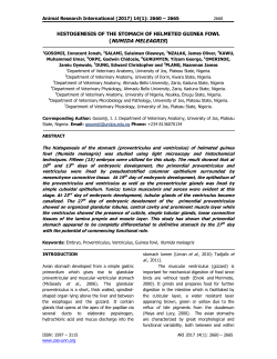 numida meleagris - University Of Nigeria Nsukka