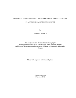 FEASIBILITY OF UTILIZING SPACEBORNE IMAGERY TO IDENTIFY