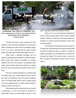 Landscape Your Way to a Healthier You