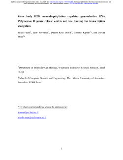 Gene body H2B monoubiquitylation regulates gene