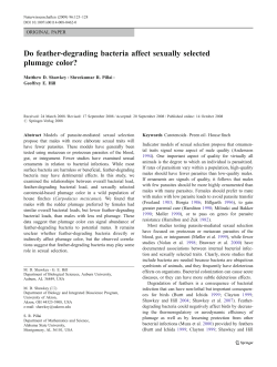 Do feather-degrading bacteria affect sexually selected plumage color?