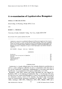 A reexamination of Lepidostrobus Brongniart