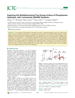 Exploring the Multidimensional Free Energy Surface of