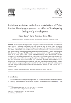 Individual variation in the basal metabolism of Zebra finches
