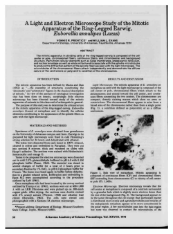 Light and Electron Microscope Study of the Mitotic Apparatus of the