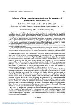 Influence of dietary protein concentration on the oxidation of
