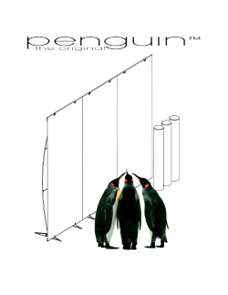 I. What is Penguin?