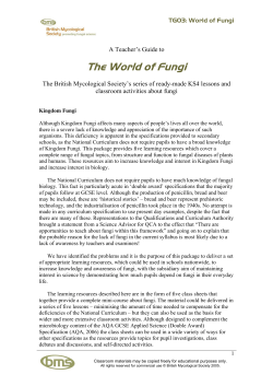 The World of Fungi