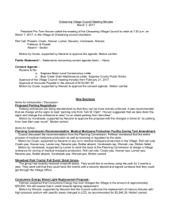 03072017 - Village of Chesaning