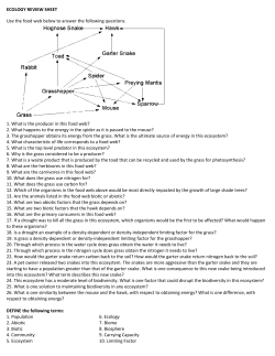 ECOLOGY REVIEW SHEET Use the food web below to