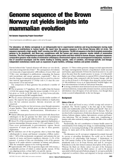 Genome sequence of the Brown Norway rat yields insights into