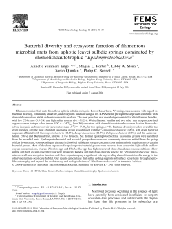 Bacterial diversity and ecosystem function of filamentous microbial