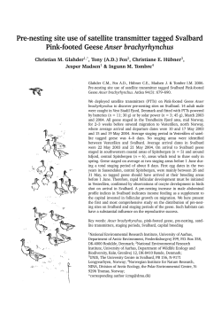 Pre-nesting site use of satellite transmitter tagged