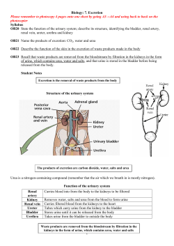 7. Excretion - Rocoscience