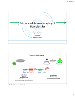 Stimulated Raman Imaging of Biomolecules