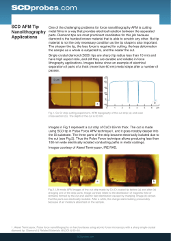 SCD AFM Tip Nanolithography Applications