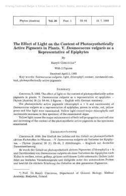 The Effect of Light on the Content of Photosynthetically