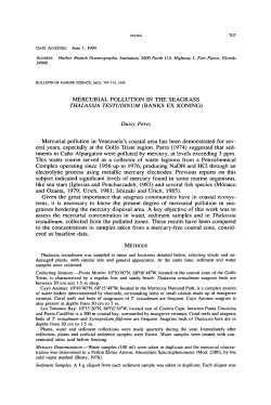 Mercurial Pollution in the Seagrass