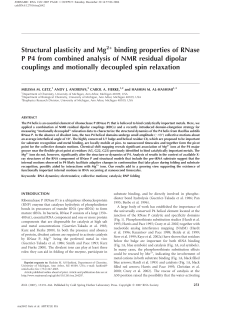 Structural plasticity and Mg binding properties of RNase P P4 from