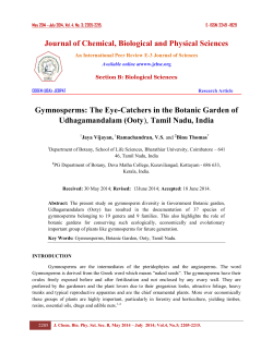 The Eye-Catchers in the Botanic Garden of Udhagamandalam