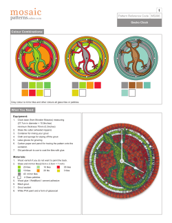 Pattern Reference Code MS006