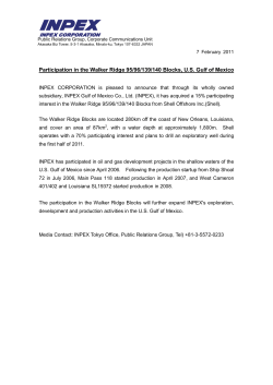 Participation in the Walker Ridge 95/96/139/140 Blocks, US