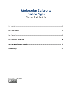 Molecular Scissors Student Doc PDF