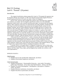 Biol 212 Zoology Lab 01: &ldquo;Protists&rdquo; (20 points)