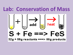 Lab: Conservation of Mass