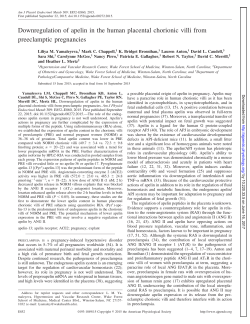Downregulation of apelin in the human placental chorionic villi from
