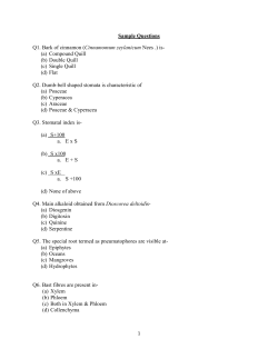 Sample Questions