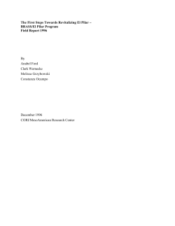 1996: The First Steps Towards Revitalizing El Pilar