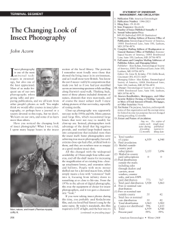 The Changing Look of Insect Photography John Acorn