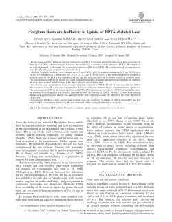 Sorghum Roots are Inefficient in Uptake of EDTA
