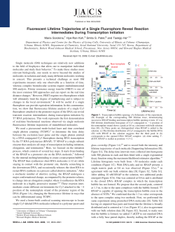 Fluorescent Lifetime Trajectories of a Single Fluorophore Reveal